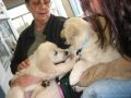 Prince and Jewel in Alaska