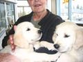 Prince and Jewel in Alaska