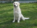 Brandon 2 Jahre alt