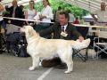 Brandon gewinnt auf der Eurodog in Tulln