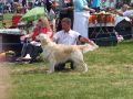 Bryan wird Vierter in England - 2011