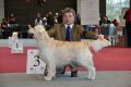 Bryan wird dritter in Wettingen