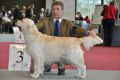 Bryan wird dritter in Wettingen