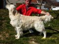 Bryan 16 Monate alt