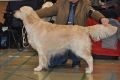 Bryan bester Ruede in Hoechstadt