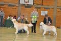 Bryan wird Best of Breed in Hoechstadt