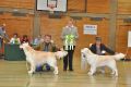 Bryan wird Best of Breed in Hoechstadt
