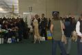 Bryan gewinnt auf der World Dog Show 2009 in Bratislava