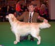 Bryan came second on CRUFTS