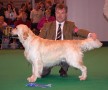 Bryan came second on CRUFTS