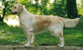 Kyon´s Galatea Gilda