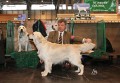 Bryan came second on CRUFTS