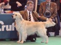 Bryan on Crufts 2009