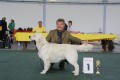 Thyler gewinnt in Saarbrücken