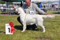 Highlights Kenny gewinnt die Juengstenklasse in Erfurt