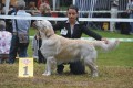 Dancing Colin gewinnt in Aichach