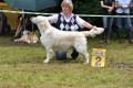 Queenie zweiter Platz in Aichach