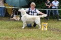 Queenie zweiter Platz in Aichach