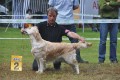 Stella wird zweite in Aichach