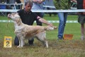 Stella wird zweite in Aichach