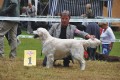 Thyler gewinnt in Aichach