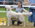 Sunny wird dritte in Aichach