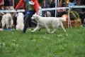 Tiffany wird zweite in Winnenden