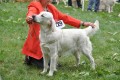 Tiffany wird zweite in Winnenden