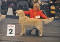 Smokey wird zweiter in Friedrichshafen