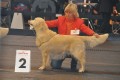 Smokey wird zweiter in Friedrichshafen
