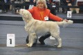 Thyler gewinnt in Friedrichshafen 