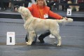 Thyler gewinnt in Friedrichshafen 