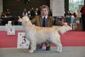 Bryan wird dritter in Wettingen