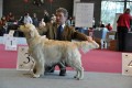 Bryan wird dritter in Wettingen