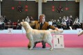 Kenny gewinnt in Wettingen