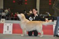 Spencer gewinnt in Wettingen