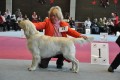 Thyler gewinnt in Wettingen