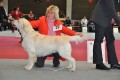 Thyler gewinnt in Wettingen