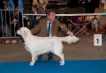 Kenny gewinnt auf der IHA Muenchen 2010