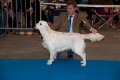 Kenny gewinnt auf der IHA Muenchen 2010