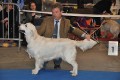 Kenny gewinnt auf der IHA Muenchen 2010