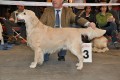 Smokey wird dritter auf der IHA Muenchen 2010