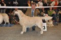 Smokey wird dritter auf der IHA Muenchen 2010