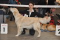 Sunny gewinnt auf der IHA Muenchen 2010