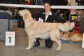 Sunny gewinnt auf der IHA Muenchen 2010