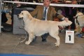 Thyler gewinnt auf der IHA Muenchen 2010