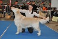 Spencer gewinnt auf der IHA Muenchen 2010