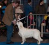 Kenny gewinnt auf der IHA Muenchen 2010