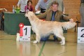 Bryan gewinnt die Offene Klasse in Hoechstadt