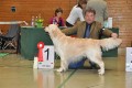 Bryan gewinnt die Offene Klasse in Hoechstadt